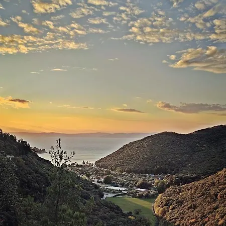 Noemi With A Direct View *