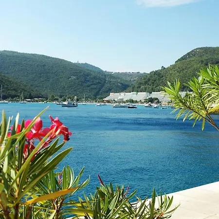 Noemi With A Direct View Rabac