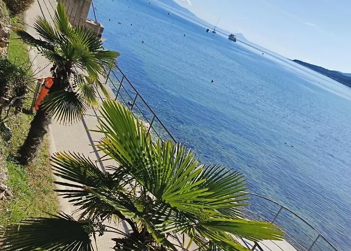 Noemi With A Direct View Rabac