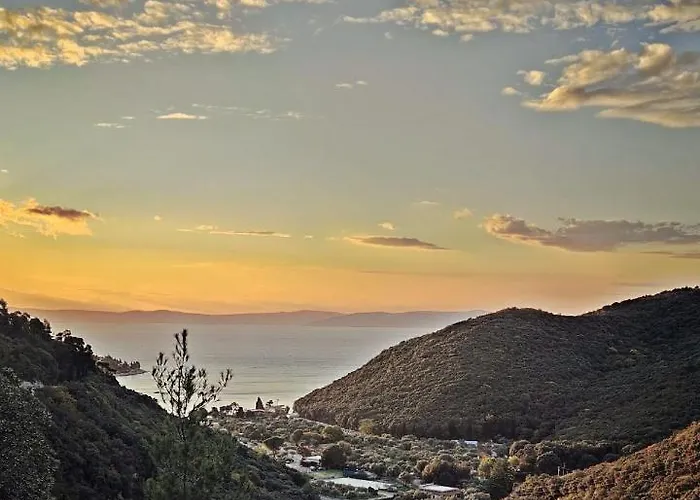 Noemi With A Direct View *