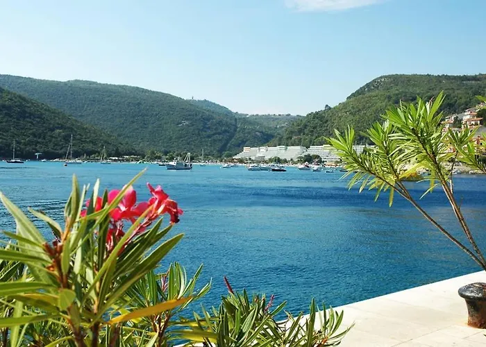 Noemi With A Direct View Rabac